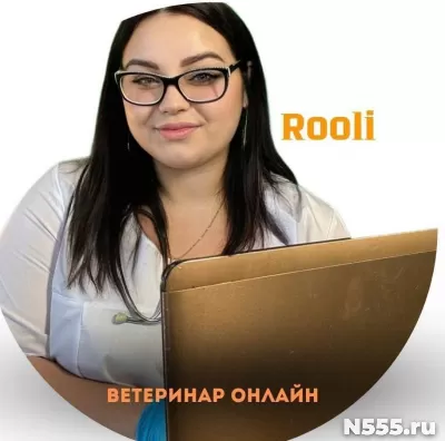 Консультации ветеринара 24/7 фото